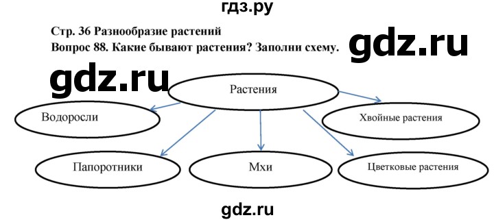ГДЗ по окружающему миру 3 класс Потапов рабочая тетрадь  часть 1. задание - 88, Решебник 2018