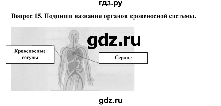 ГДЗ по окружающему миру 3 класс Потапов рабочая тетрадь  часть 2. задание - 15, Решебник 2018