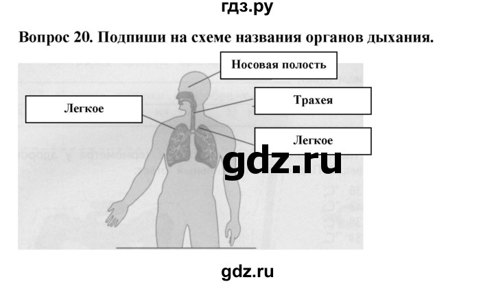 ГДЗ по окружающему миру 3 класс Потапов рабочая тетрадь  часть 2. задание - 20, Решебник 2018