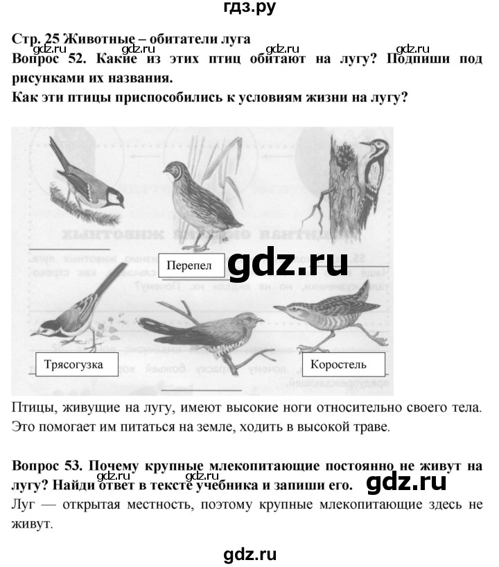 ГДЗ по окружающему миру 4 класс Ивченкова рабочая тетрадь  часть 1. страница - 25, Решебник 2017 №1