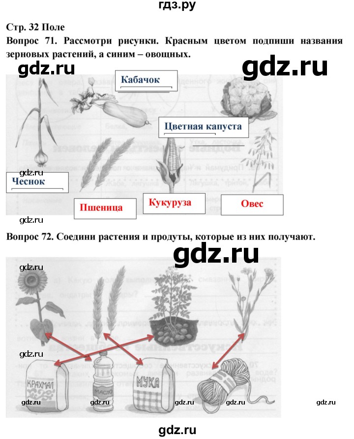 ГДЗ по окружающему миру 4 класс Ивченкова рабочая тетрадь  часть 1. страница - 32, Решебник 2017 №1