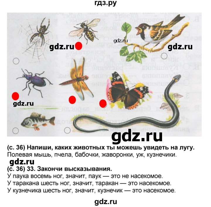 ГДЗ по окружающему миру 2 класс  Виноградова рабочая тетрадь  часть 2 (страница) - 36, Решебник