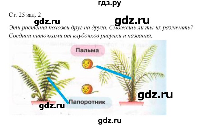 ГДЗ по окружающему миру 1 класс Плешаков рабочая тетрадь  часть 1. страница - 25, Решебник 2016