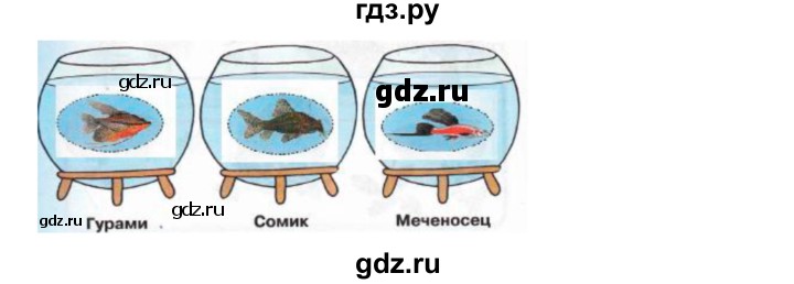 ГДЗ по окружающему миру 1 класс Плешаков рабочая тетрадь  часть 1. страница - 28, Решебник 2016