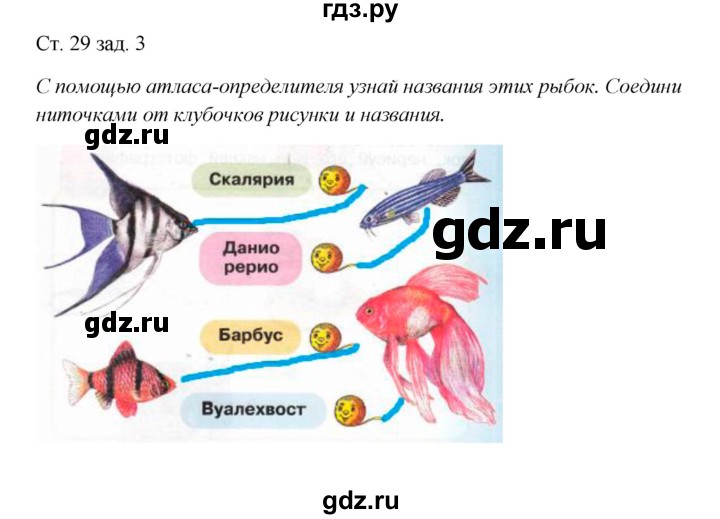 ГДЗ по окружающему миру 1 класс Плешаков рабочая тетрадь  часть 1. страница - 29, Решебник 2016