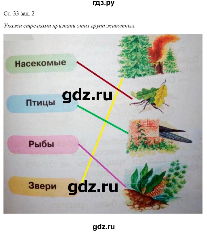 ГДЗ по окружающему миру 1 класс Плешаков рабочая тетрадь  часть 1. страница - 33, Решебник 2016