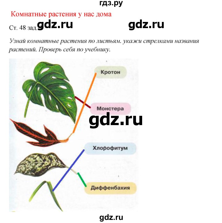 ГДЗ по окружающему миру 1 класс Плешаков рабочая тетрадь  часть 1. страница - 48, Решебник 2016