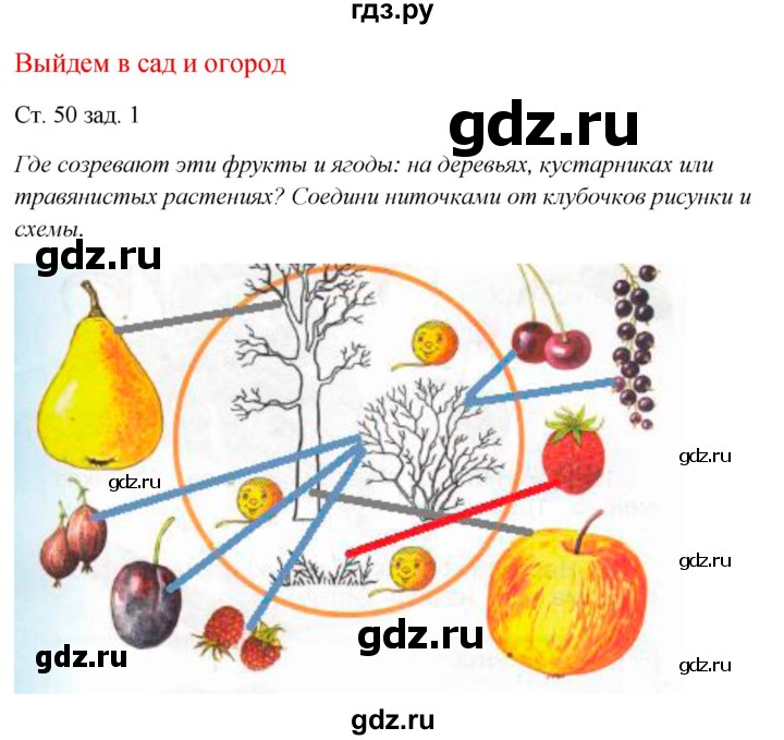 ГДЗ по окружающему миру 1 класс Плешаков рабочая тетрадь  часть 1. страница - 50, Решебник 2016