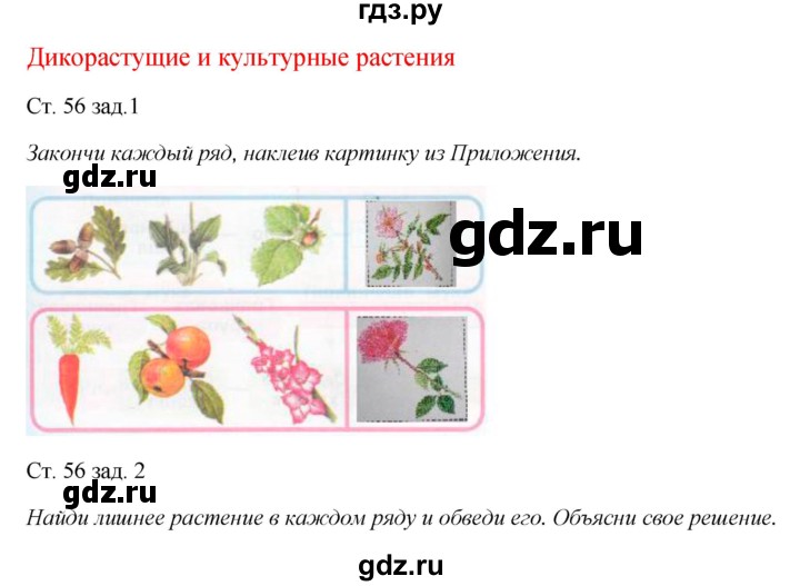 ГДЗ по окружающему миру 1 класс Плешаков рабочая тетрадь  часть 1. страница - 56, Решебник 2016