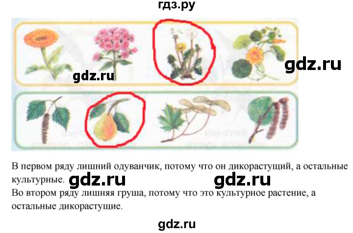 ГДЗ по окружающему миру 1 класс Плешаков рабочая тетрадь  часть 1. страница - 56, Решебник 2016