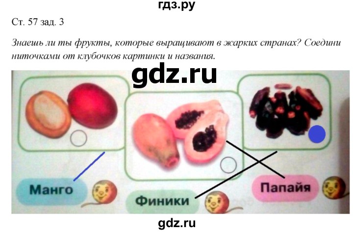 ГДЗ по окружающему миру 1 класс Плешаков рабочая тетрадь  часть 1. страница - 57, Решебник 2016
