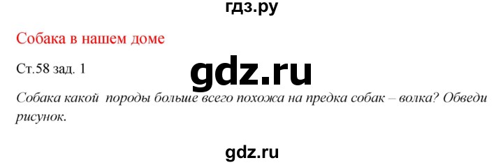 ГДЗ по окружающему миру 1 класс Плешаков рабочая тетрадь  часть 1. страница - 58, Решебник 2016