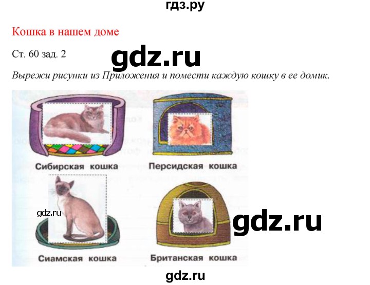 ГДЗ по окружающему миру 1 класс Плешаков рабочая тетрадь  часть 1. страница - 60, Решебник 2016