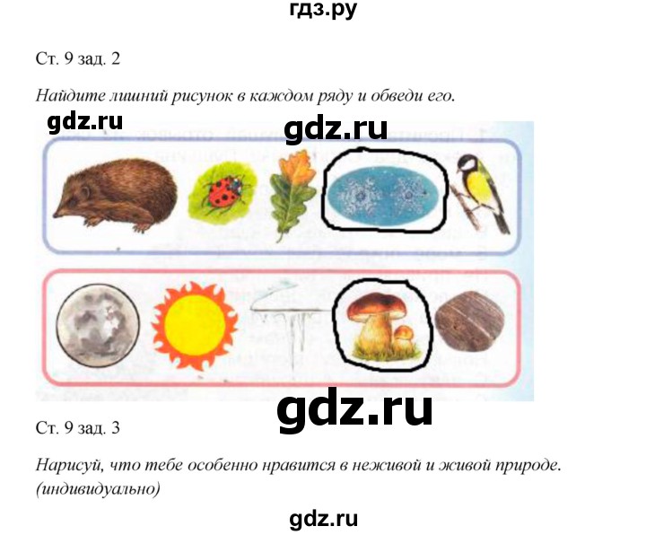 ГДЗ по окружающему миру 1 класс Плешаков рабочая тетрадь  часть 1. страница - 9, Решебник 2016