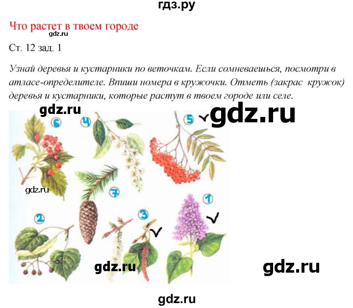 ГДЗ по окружающему миру 1 класс Плешаков рабочая тетрадь  часть 2. страница - 12, Решебник 2016