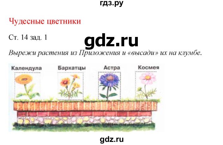 ГДЗ по окружающему миру 1 класс Плешаков рабочая тетрадь  часть 2. страница - 14, Решебник 2016