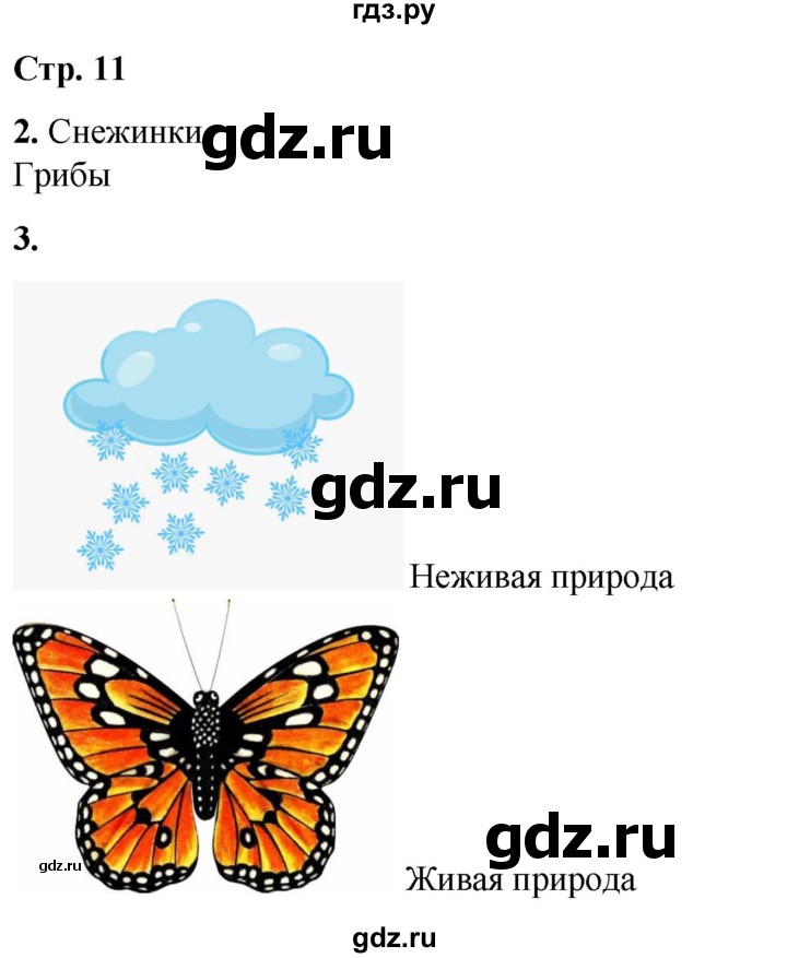 ГДЗ по окружающему миру 1 класс Плешаков рабочая тетрадь  часть 1. страница - 11, Решебник 2023