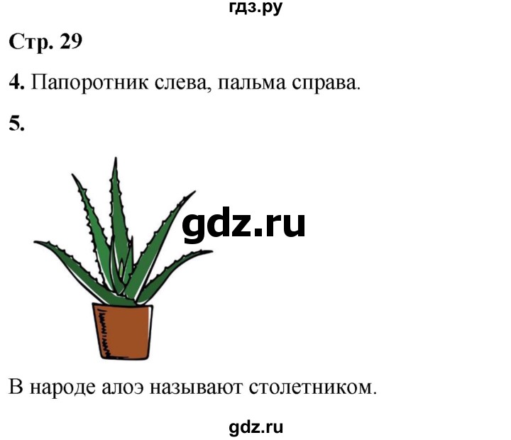 ГДЗ по окружающему миру 1 класс Плешаков рабочая тетрадь  часть 1. страница - 29, Решебник 2023