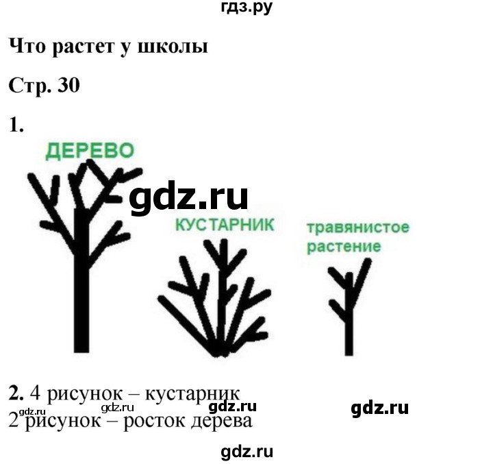 ГДЗ по окружающему миру 1 класс Плешаков рабочая тетрадь  часть 1. страница - 30, Решебник 2023