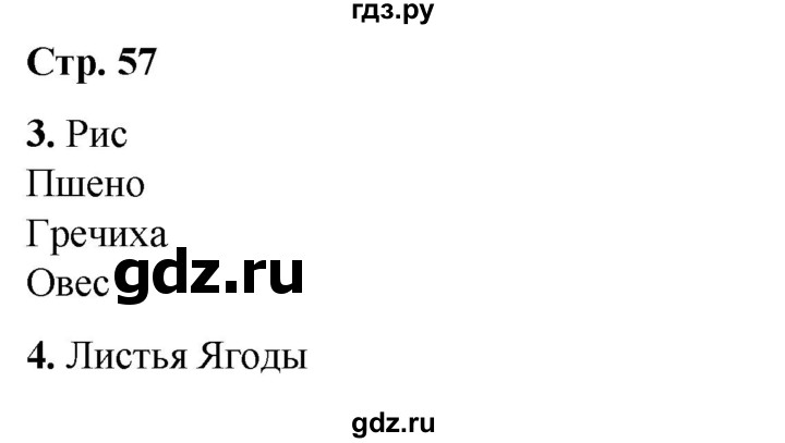 ГДЗ по окружающему миру 1 класс Плешаков рабочая тетрадь  часть 1. страница - 57, Решебник 2023