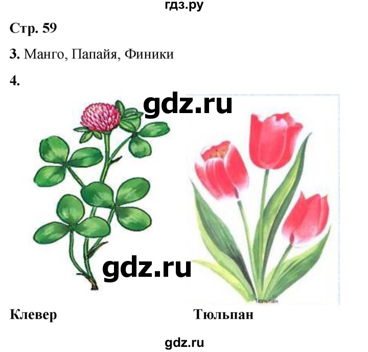 ГДЗ по окружающему миру 1 класс Плешаков рабочая тетрадь  часть 1. страница - 59, Решебник 2023