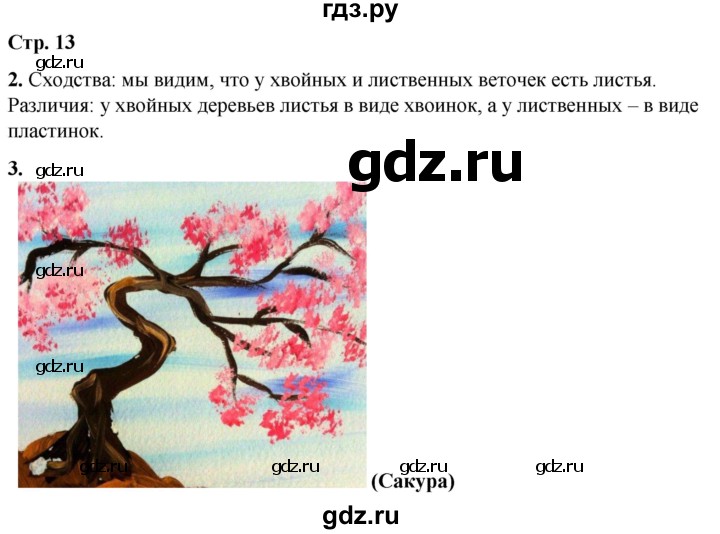 ГДЗ по окружающему миру 1 класс Плешаков рабочая тетрадь  часть 2. страница - 13, Решебник 2023