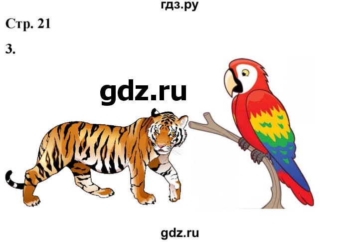 ГДЗ по окружающему миру 1 класс Плешаков рабочая тетрадь  часть 2. страница - 21, Решебник 2023