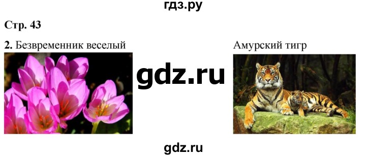 ГДЗ по окружающему миру 1 класс Плешаков рабочая тетрадь  часть 2. страница - 43, Решебник 2023