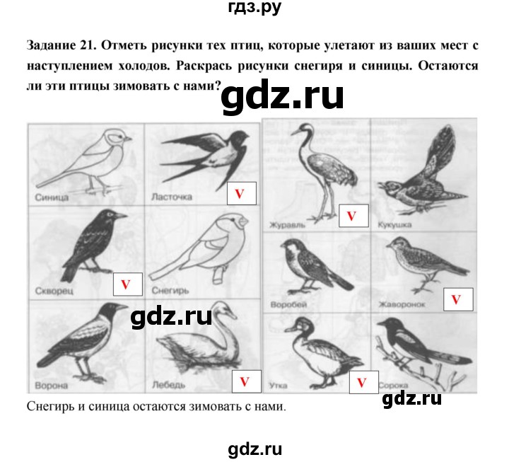 ГДЗ по окружающему миру 1 класс Федотова тетрадь для самостоятельной работы  задание - 21, Решебник