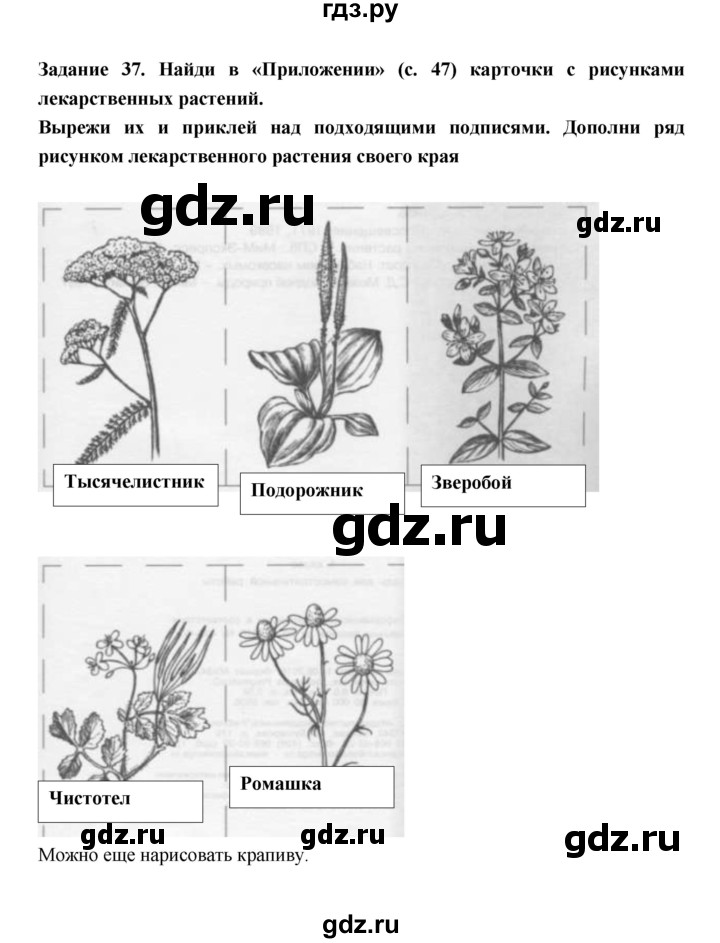 ГДЗ по окружающему миру 1 класс Федотова тетрадь для самостоятельной работы  задание - 37, Решебник