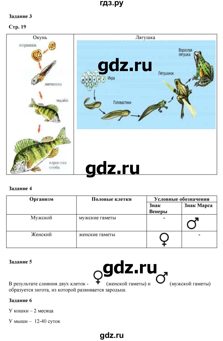 ГДЗ по биологии 5 класс Сухова рабочая тетрадь  страница - 19, Решебник №1