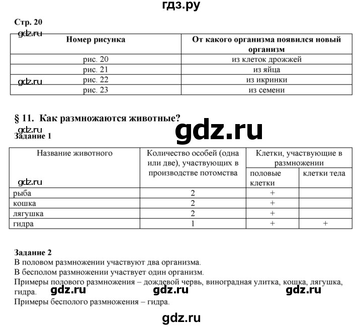 ГДЗ по биологии 5 класс Сухова рабочая тетрадь  страница - 20, Решебник №1