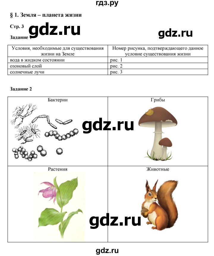ГДЗ по биологии 5 класс Сухова рабочая тетрадь  страница - 3, Решебник №1