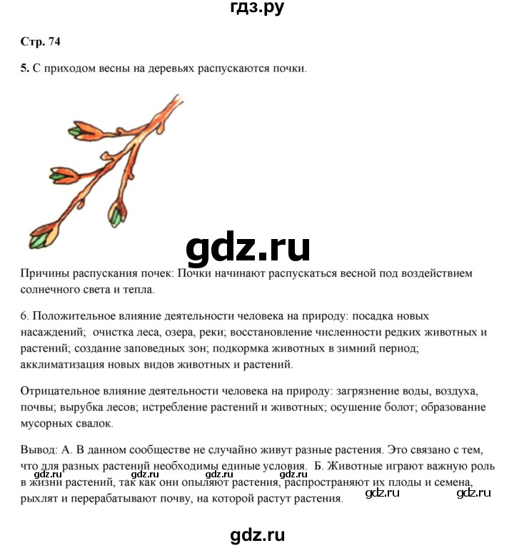 ГДЗ по биологии 5 класс Сухова рабочая тетрадь  страница - 74-78, Решебник №1