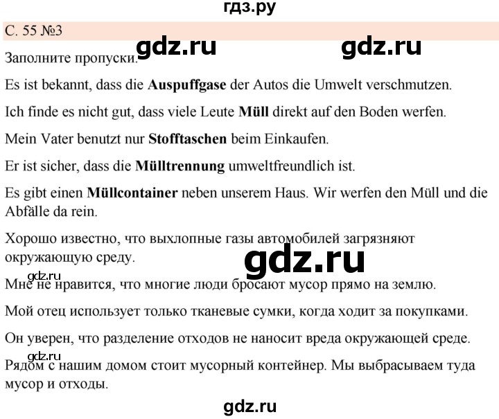 ГДЗ по немецкому языку 7 класс Радченко Рабочая тетрадь Wunderkinder Базовый и углубленный уровень страница - 55, Решебник 2023