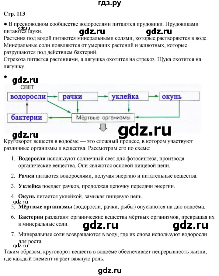 ГДЗ по окружающему миру 3 класс Плешаков   часть 1. страница - 113, Решебник 2024