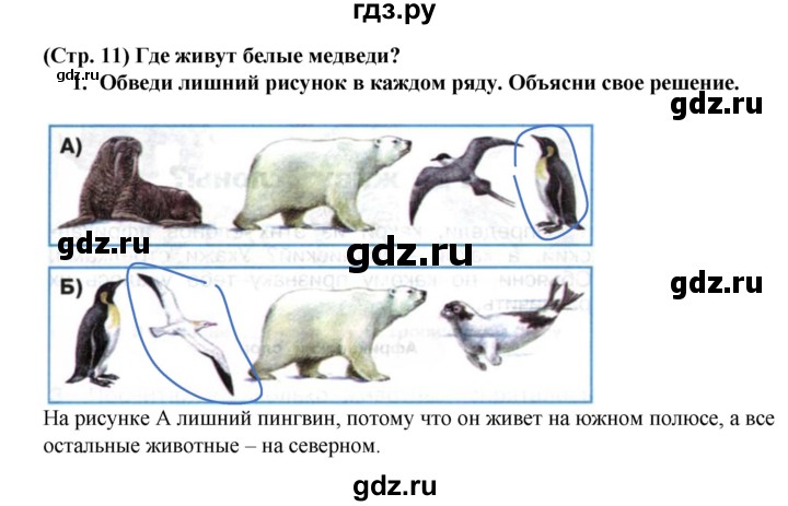 ГДЗ по окружающему миру 1 класс Плешаков рабочая тетрадь  часть 2. страница - 11, Решебник к тетради 2016