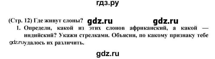 ГДЗ по окружающему миру 1 класс Плешаков рабочая тетрадь  часть 2. страница - 12, Решебник к тетради 2016