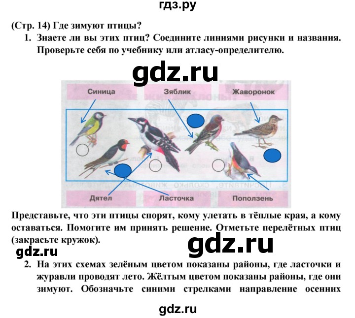 ГДЗ по окружающему миру 1 класс Плешаков рабочая тетрадь  часть 2. страница - 14, Решебник к тетради 2016