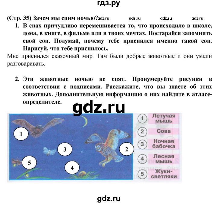 ГДЗ по окружающему миру 1 класс Плешаков рабочая тетрадь  часть 2. страница - 35, Решебник к тетради 2016