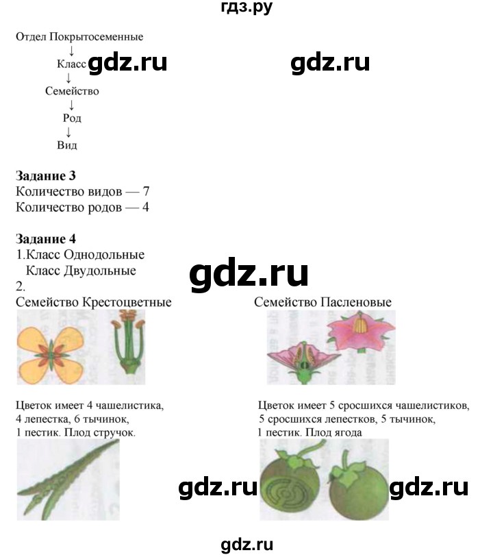 ГДЗ по биологии 6 класс Сухова рабочая тетрадь  часть 2 (страница) - 46, Решебник