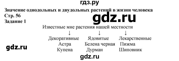 ГДЗ по биологии 6 класс Сухова рабочая тетрадь  часть 2 (страница) - 56, Решебник