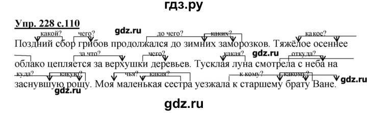 ГДЗ по русскому языку 4 класс Репкин   часть 2 - 228, Решебник №1