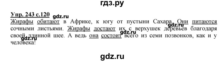 ГДЗ по русскому языку 4 класс Репкин   часть 2 - 243, Решебник №1