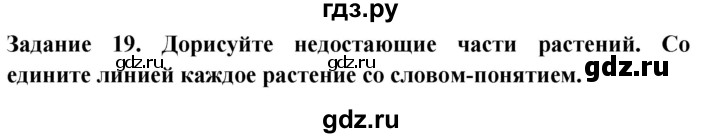 ГДЗ по окружающему миру 1 класс Дмитриева рабочая тетрадь  номер - 19, Решебник