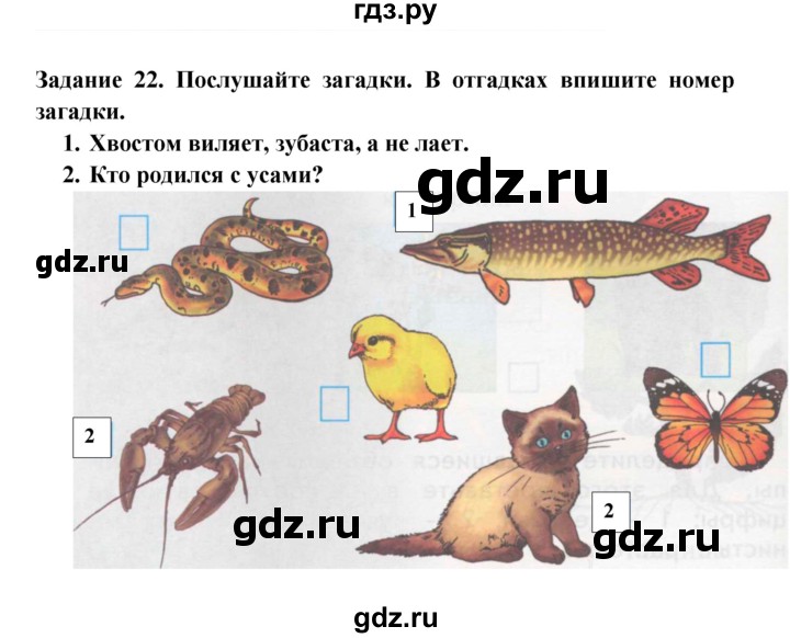 ГДЗ по окружающему миру 1 класс Дмитриева рабочая тетрадь  номер - 22, Решебник