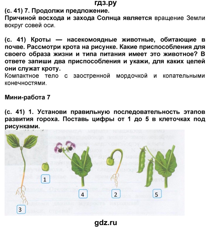 ГДЗ по окружающему миру 4 класс Демидова рабочая тетрадь (ВПР)  страница - 41, Решебник