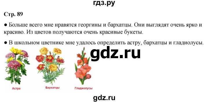 ГДЗ по окружающему миру 2 класс Плешаков   часть 1. страница - 89, Решебник 2023