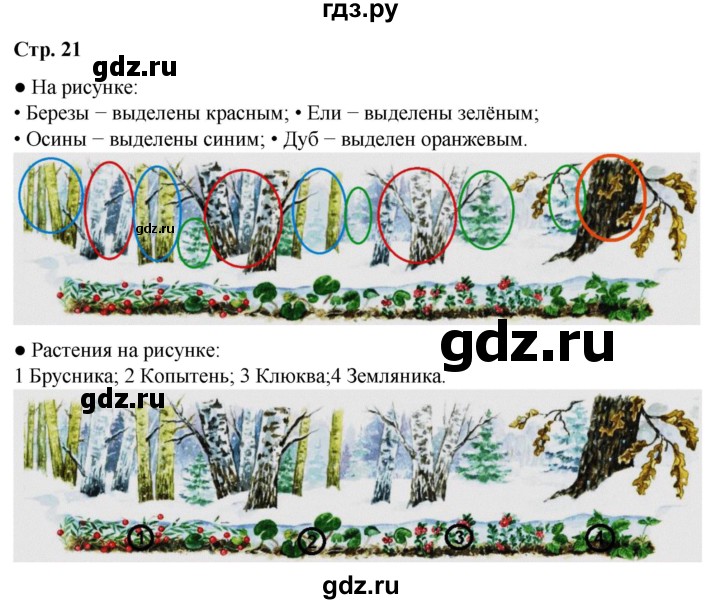 ГДЗ по окружающему миру 2 класс Плешаков   часть 2. страница - 21, Решебник 2023