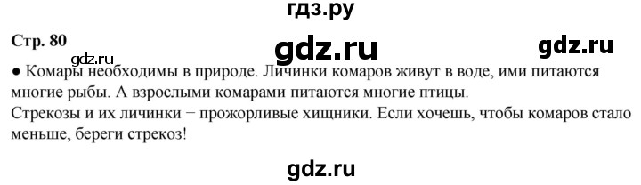 ГДЗ по окружающему миру 2 класс Плешаков   часть 2. страница - 80, Решебник 2023